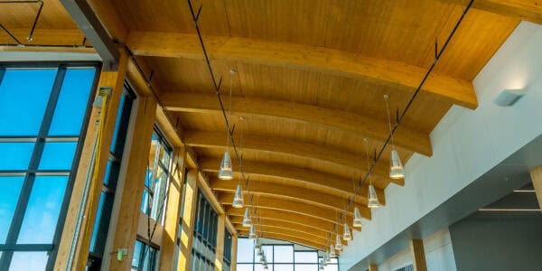 Vaulted wooden ceiling with exposed beams (object) holds a linear row of pendant lights (action) above a bright lobby with tall blue‑tinted windows and an "EXIT" sign on a wood column (context).