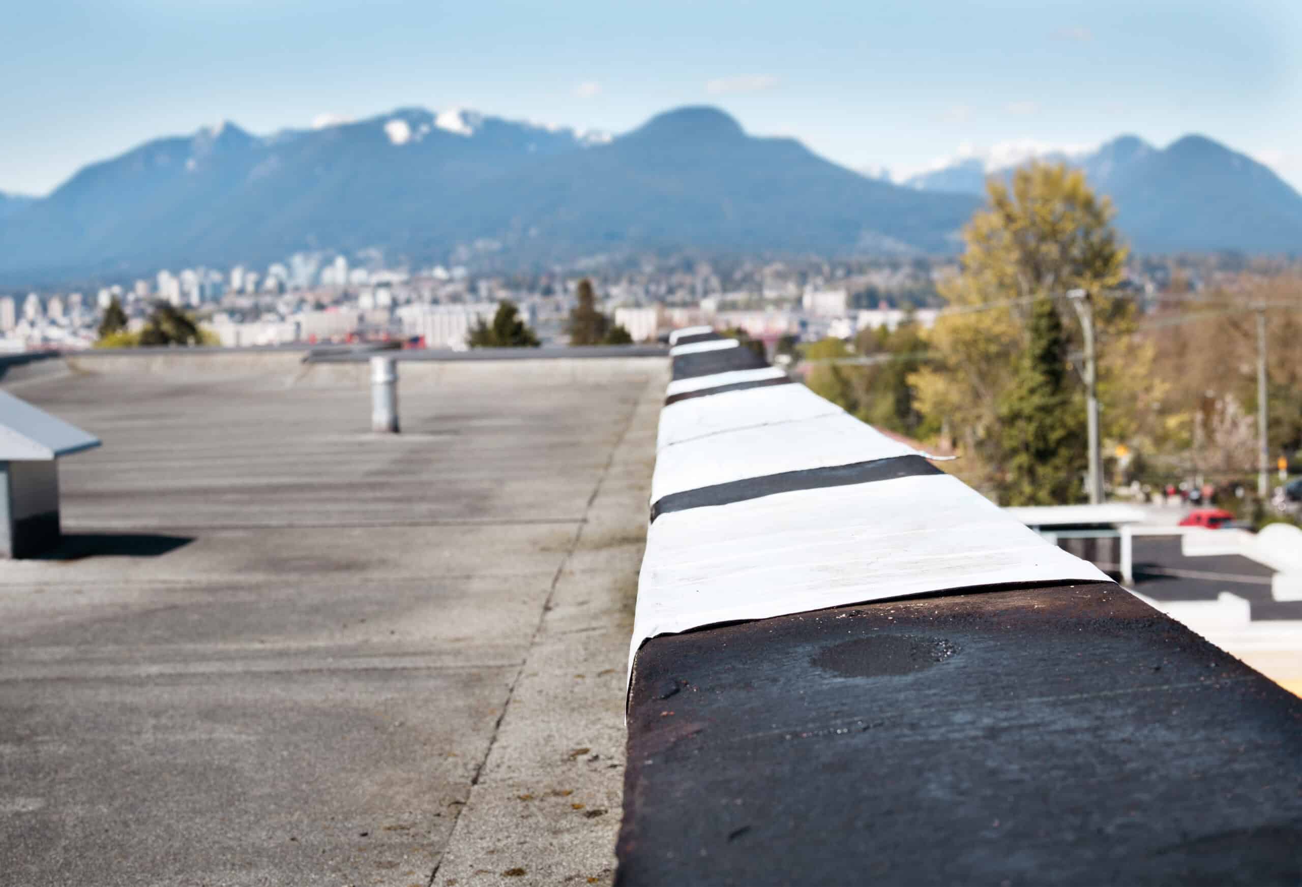 Flat rooftop parapet extends diagonally, leading toward a blurred city skyline and snow-capped mountains in the background; nearby trees and clear blue sky frame the suburban view.