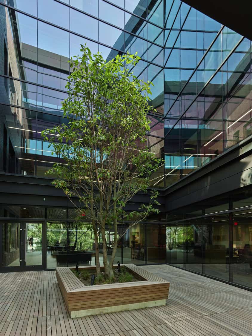 Tree rises from a square wooden planter, filling a wood-decked atrium as reflective glass walls and angled skylights reveal the surrounding modern building. Text in image: EXIT