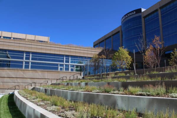 Terraced concrete planters rise toward a glass office tower, planted with low shrubs and young trees; blue-sky backdrop and modern building labeled "Charles Schwab".