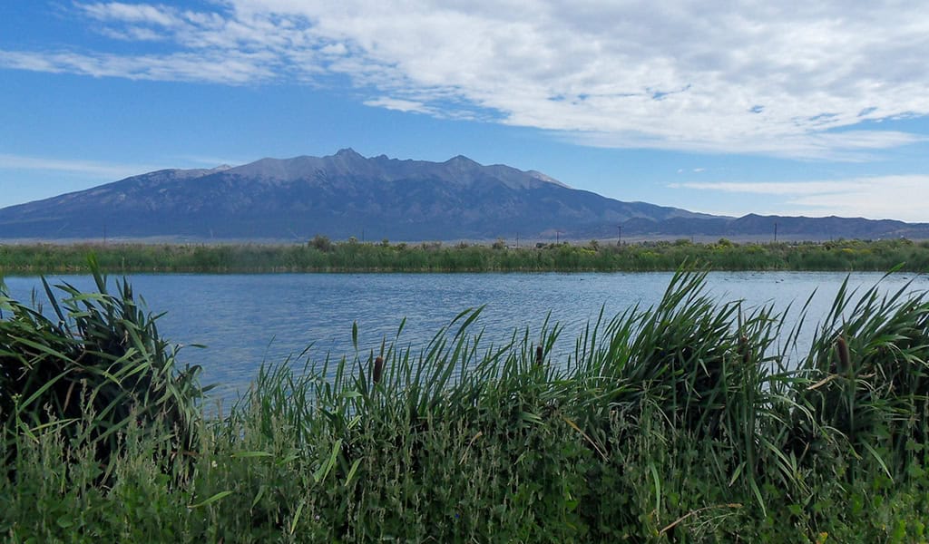 Tall marsh grasses frame a calm blue pond, with a rugged mountain range rising beyond beneath a partly cloudy sky.