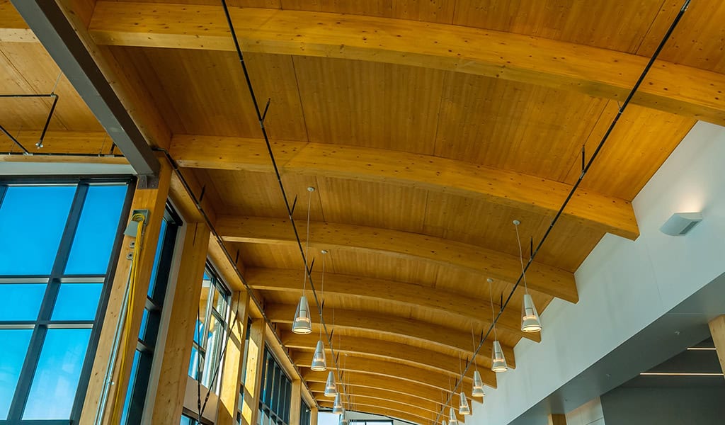 Wooden arched ceiling spans the interior, with pendant lights suspended in a row above tall grid windows and pale walls in a modern, sunlit public or commercial space.