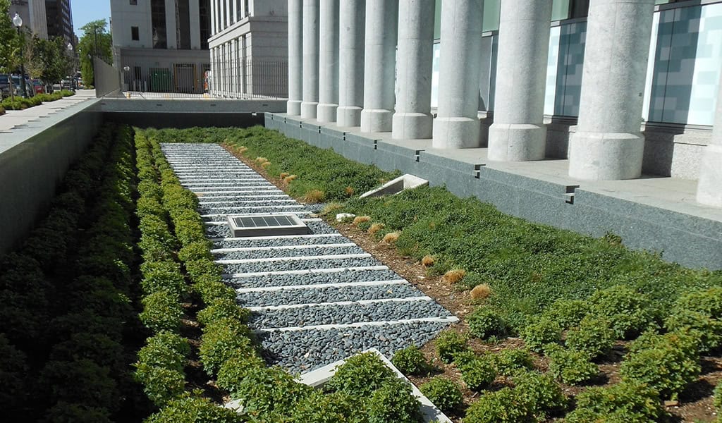 Sunken rectangular gravel garden contains parallel white stone strips and a central metal grate, bordered by low boxwood hedges beside a stone building with tall round columns in a sunny city.