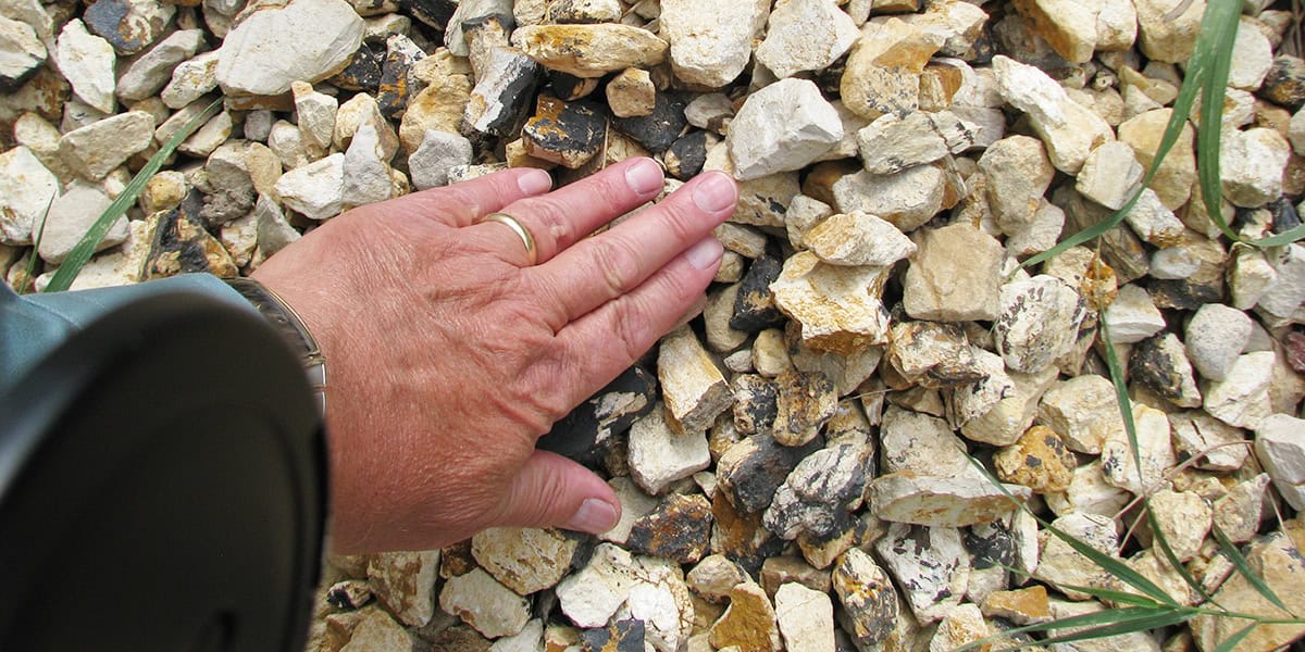 Hand with wedding ring and watch resting palm-down on a bed of small white and yellowish rocks with dark veins, scattered grass blades around.
