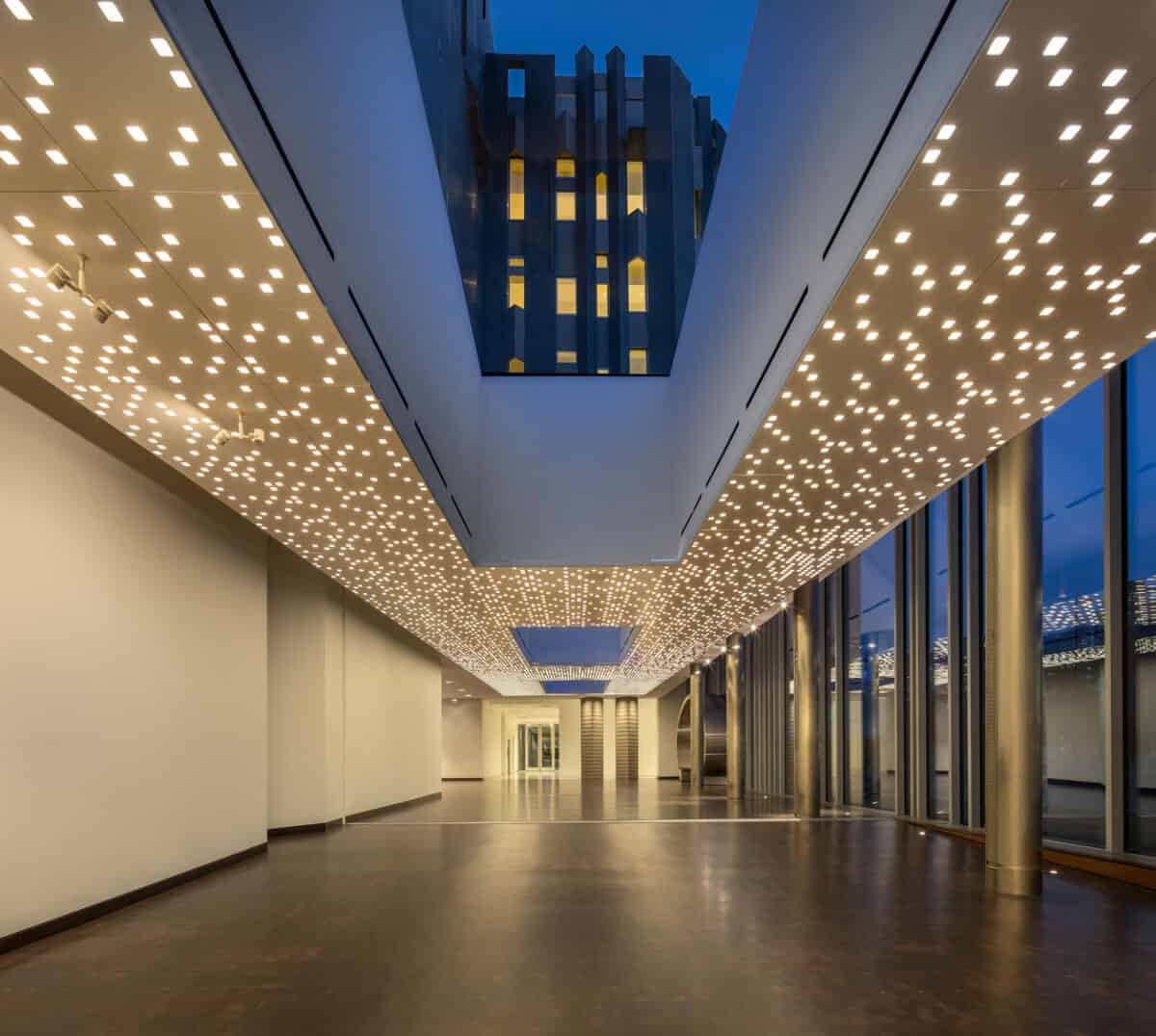 DAM_Martin_JamesFlorio_2019