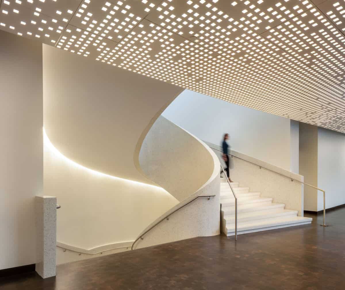 DAM_Martin_JamesFlorio_2019