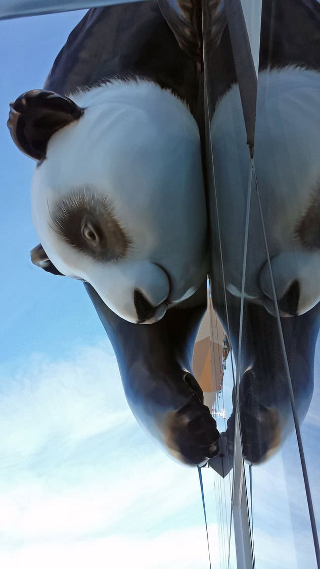 Giant panda sculpture clings to a glass building, its mirrored reflection doubling the form against a clear blue sky and creating an oversized, playful facade installation.