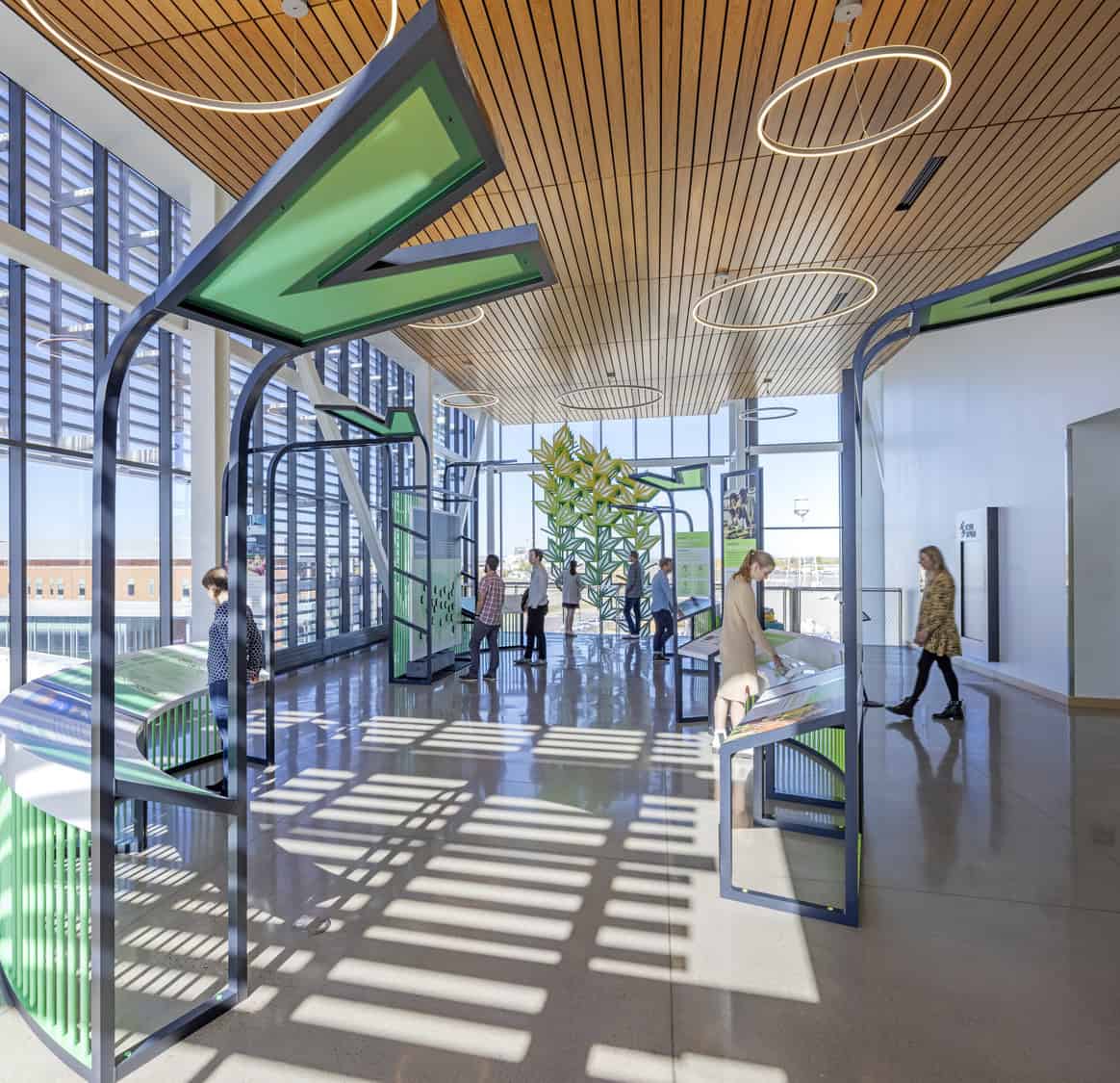 Green overhead exhibit structures and interactive panels invite visitors to read and touch, set in a sunlit glass-walled atrium with wooden slatted ceiling, circular lights and patterned floor shadows.