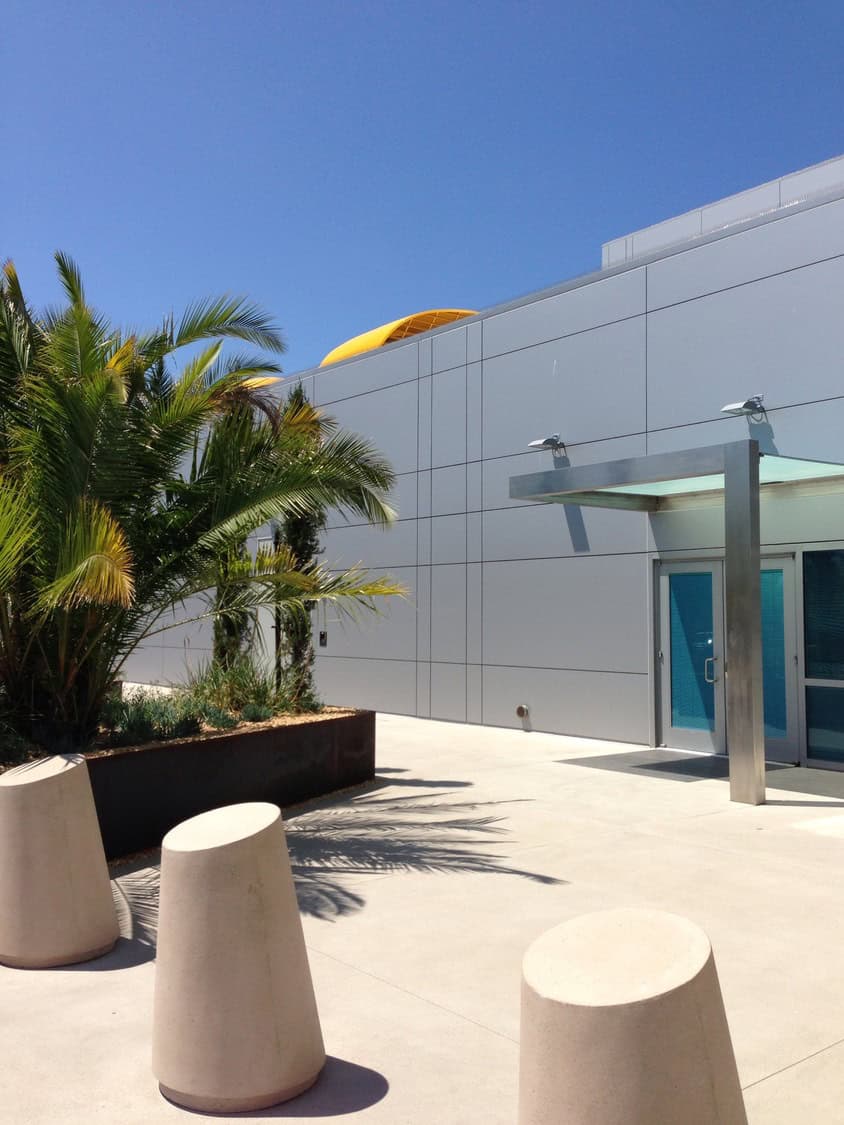 Palm planter casts long shadows across a sunlit concrete plaza; three conical concrete bollards sit near a metal-canopied glass entrance on a gray modern building beneath a clear blue sky.