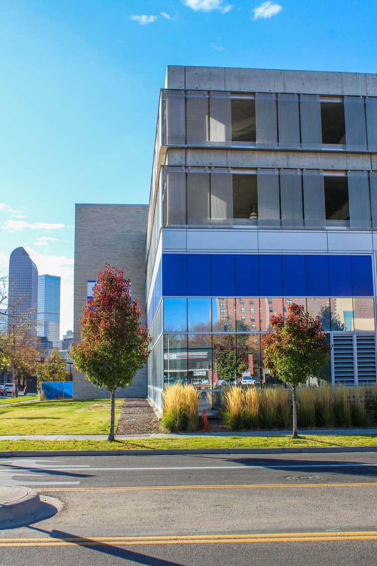 Corner of a modern glass-and-concrete building stands beside a quiet street, reflecting nearby trees and brick structures; two small trees and tall grasses border the sidewalk under a blue sky.
