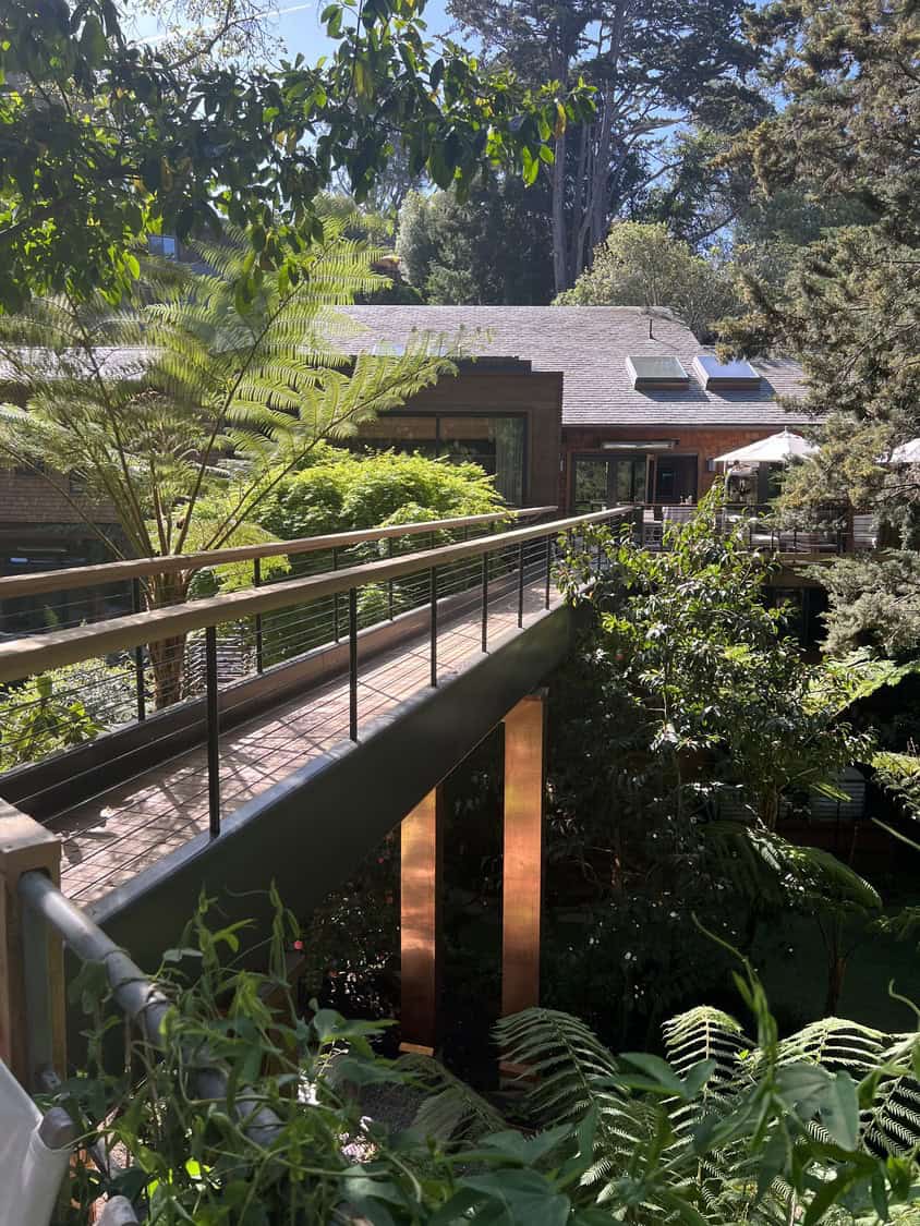 Wood-and-metal pedestrian bridge stretches over a lush fern-filled garden toward a modern wood-and-glass house with skylights and a sunlit deck, supported by reflective copper columns amid tall trees.