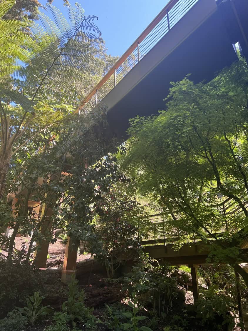 An elevated wooden pedestrian bridge spans overhead across a shaded, lush garden, supported on posts and surrounded by ferns, maples and dappled sunlight beneath a clear blue sky.